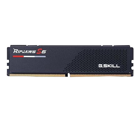 G.Skill Ripjaws S5 (Intel XMP) 16GB (1 x 16GB) DDR5 5600 CL 40-40-40-89 1.20V Desktop Memory RAM F5-5600J4040C16GX1-RS5K (Black)