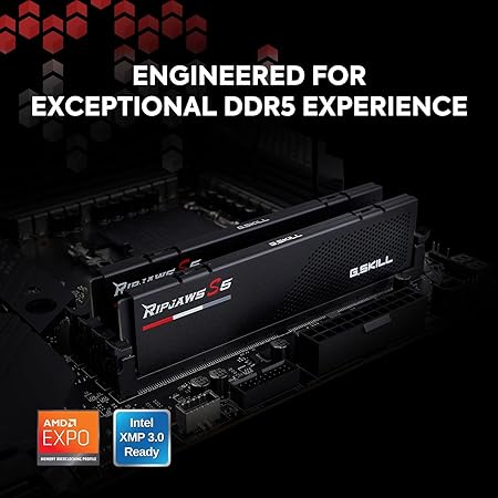 G.Skill Ripjaws S5 (Intel XMP) 16GB (1 x 16GB) DDR5 5600 CL 40-40-40-89 1.20V Desktop Memory RAM F5-5600J4040C16GX1-RS5K (Black)